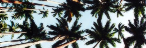 mikeydidit_'s profile banner image