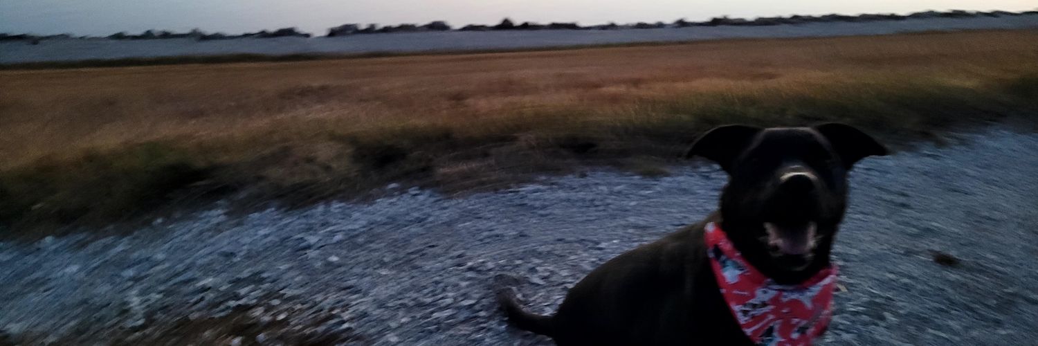 Wilma Gerena-Goering banner