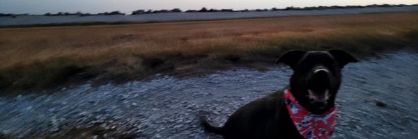 authenticmoi Profile Banner