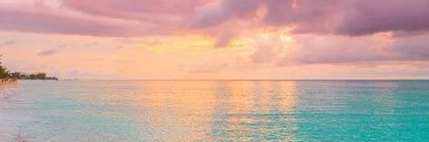 VickMendes3's profile banner image