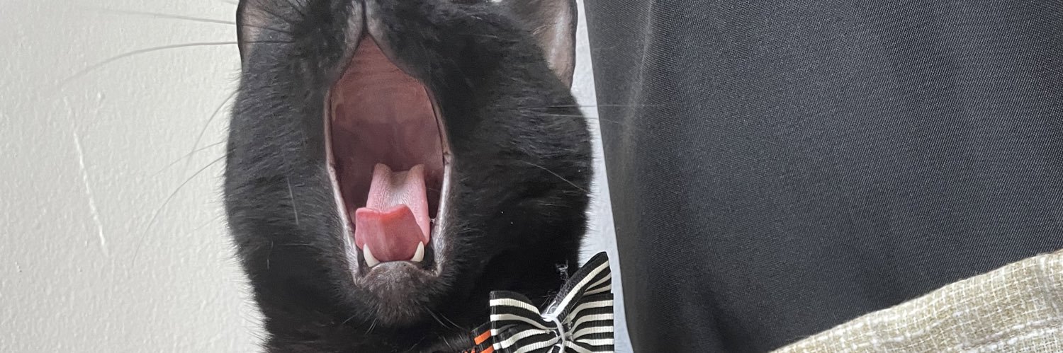 ruebs_13's profile banner image