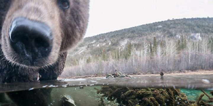 joespinkytoe's profile banner image