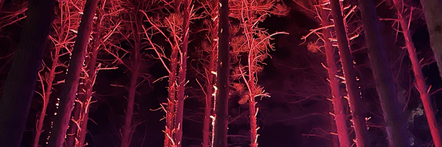 Bradley Ramsey banner