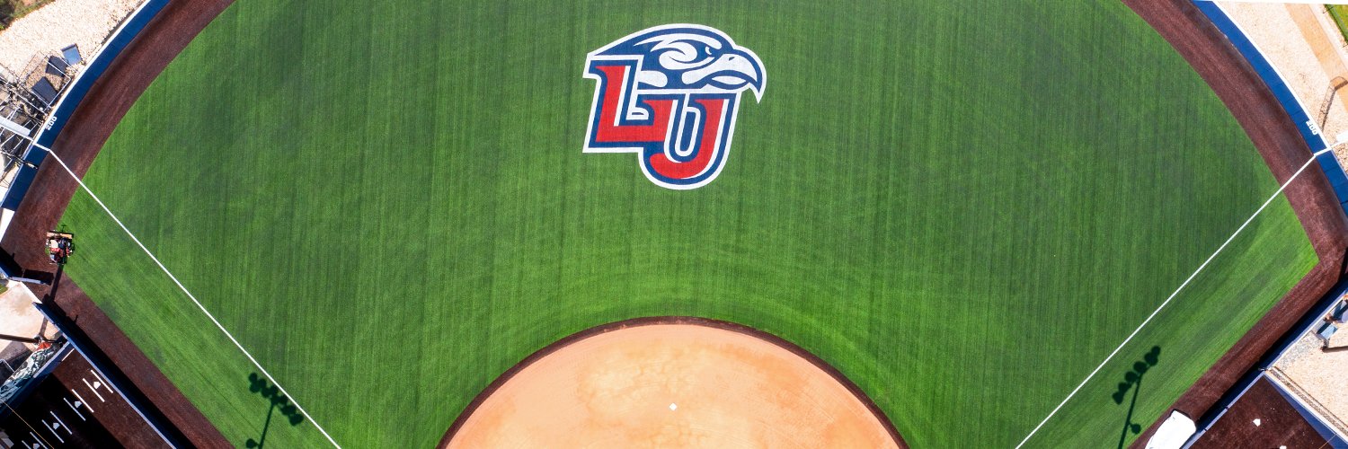 Liberty Softball's banner