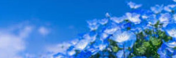 b1PiWLUxvJ22Npl Profile Banner