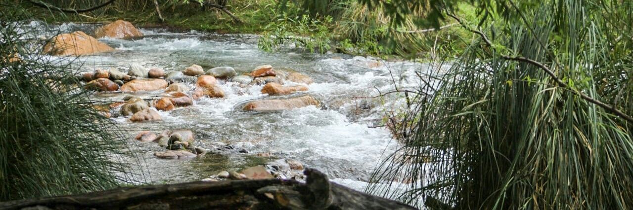 CamiGom23's profile banner image