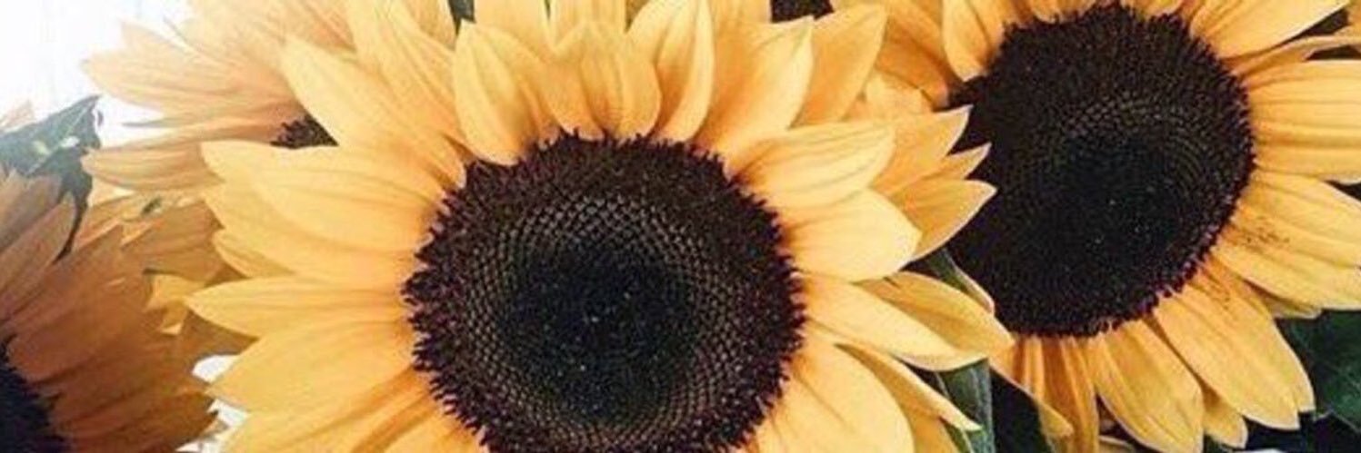 Beckyyy44's profile banner image