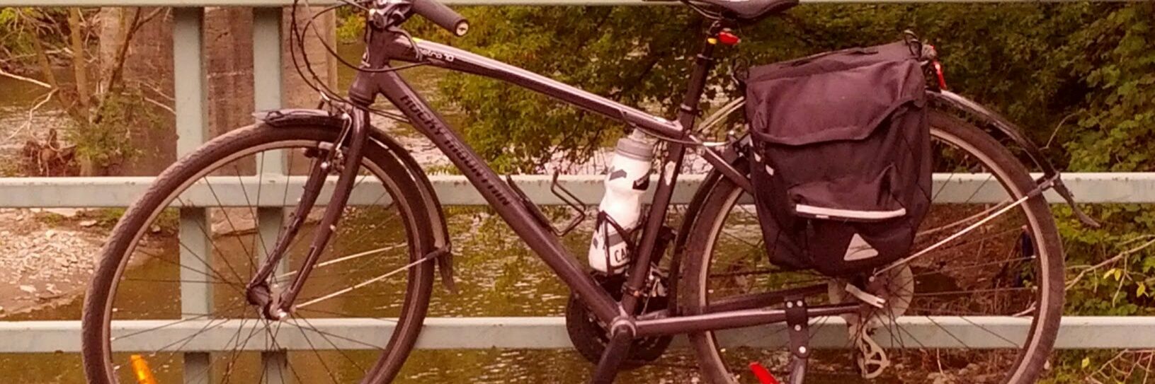 T.Biddy🇨🇦 banner