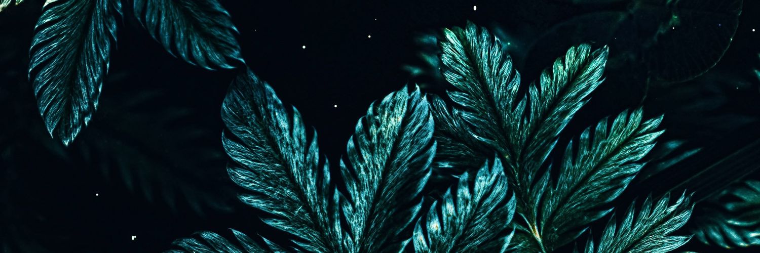 BradySandbox's profile banner image