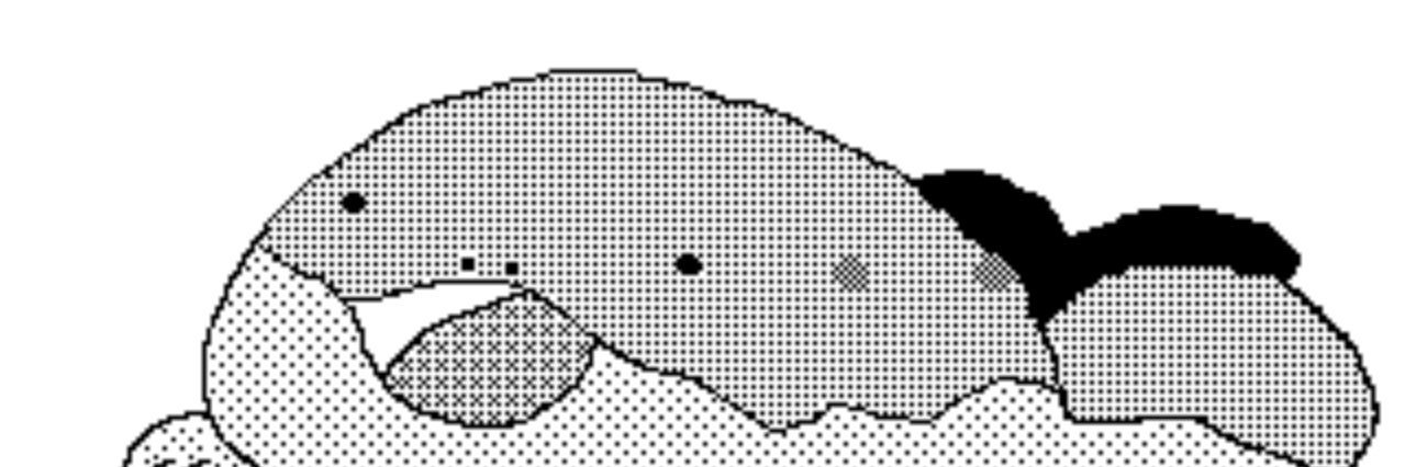 ANHI1n's profile banner image