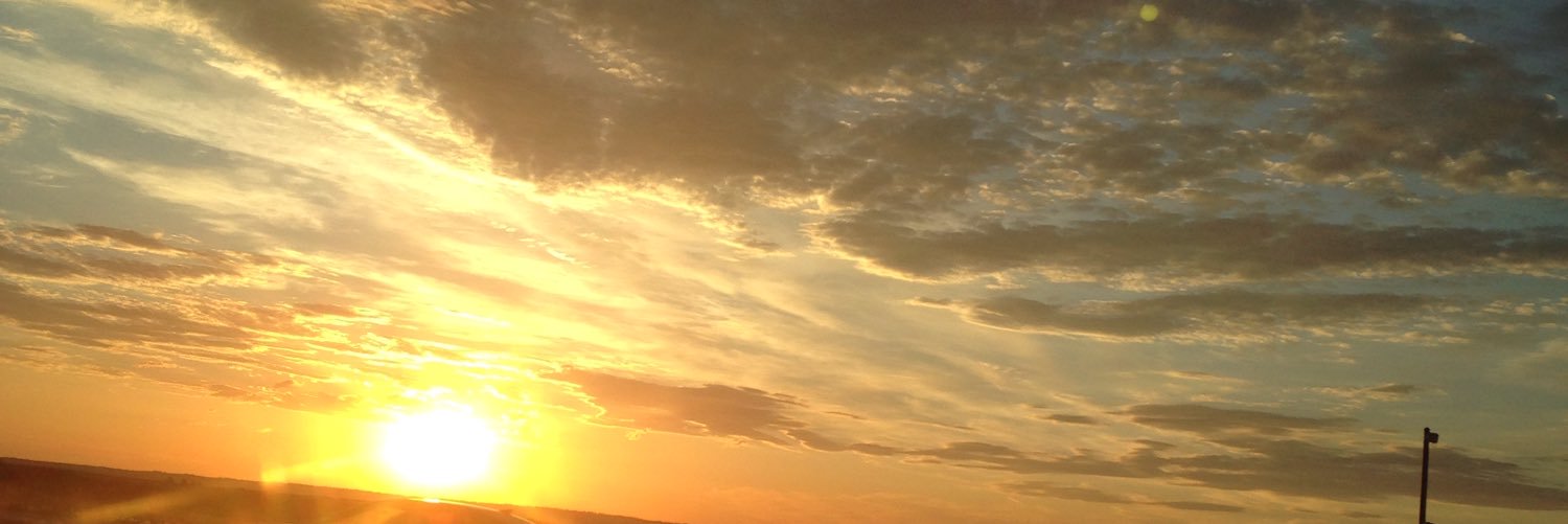 loganloiselle's profile banner image