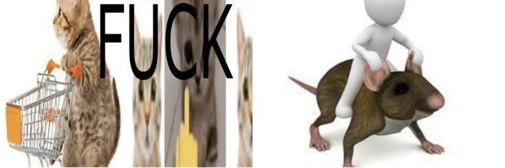 jyucfe's profile banner image