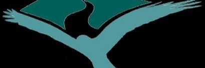 Iechyd a Lles Bro Dinefwr banner