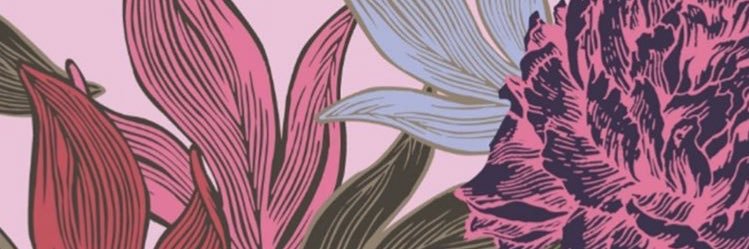Conidoli's profile banner image
