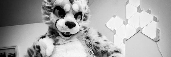 SomeNoodleAD Profile Banner
