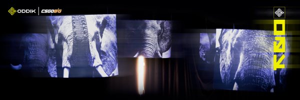 togsfps Profile Banner
