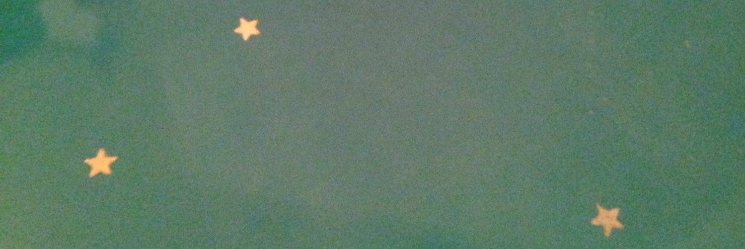 grimdixie's profile banner image