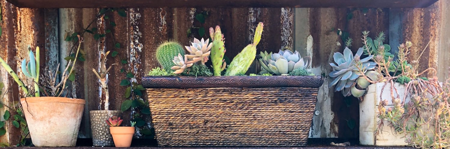 Laura (Retta) Flanagan banner