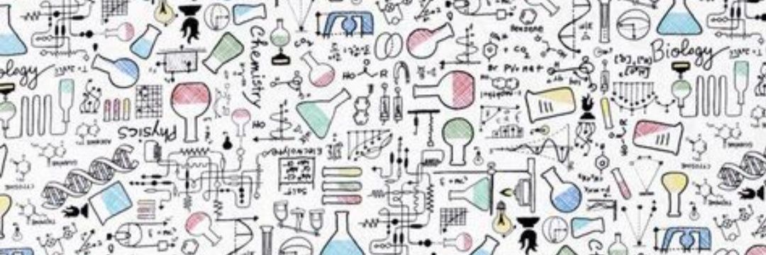 Ester López Fernández banner