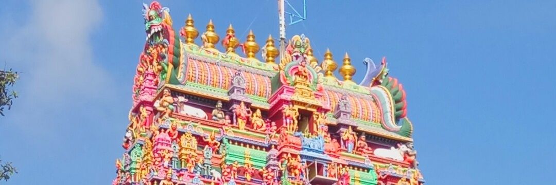 Thaya9195's profile banner image