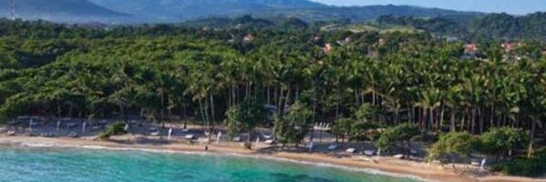 TheTopShell Profile Banner