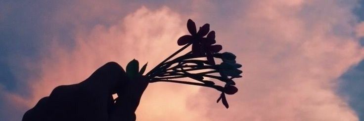 Non_DMZ's profile banner image