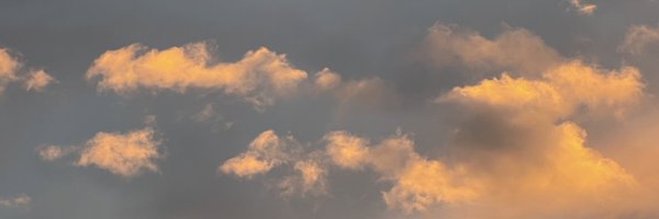 tygrswrld Profile Banner