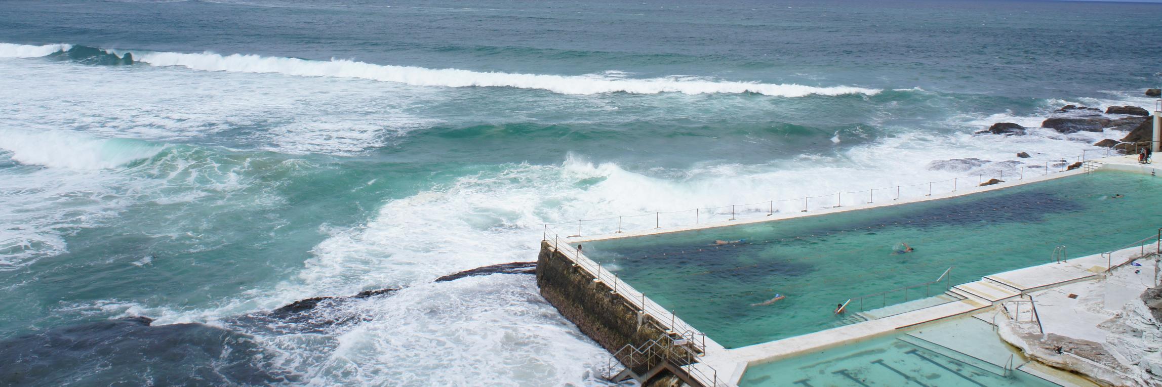 Nik Subramanian banner