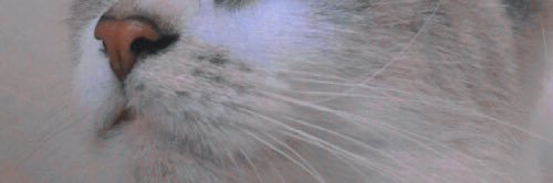 babdocloro's profile banner image