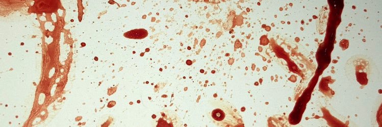 _diiianaaa___'s profile banner image