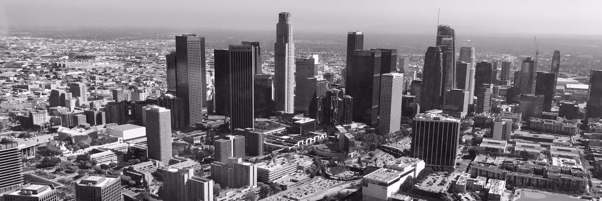 Amy MacDougall (Hurwitz) banner