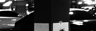 Yoshi. banner