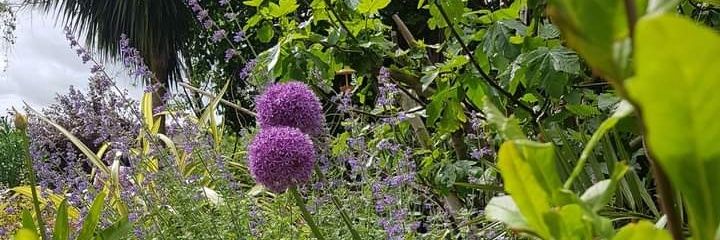 Margaret Smith banner