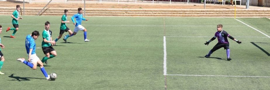 Javier de los Remedios banner