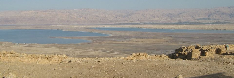 Scott David Gray 🌸 banner