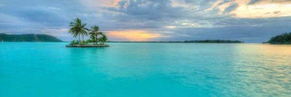 Bluesky97745595 Profile Banner