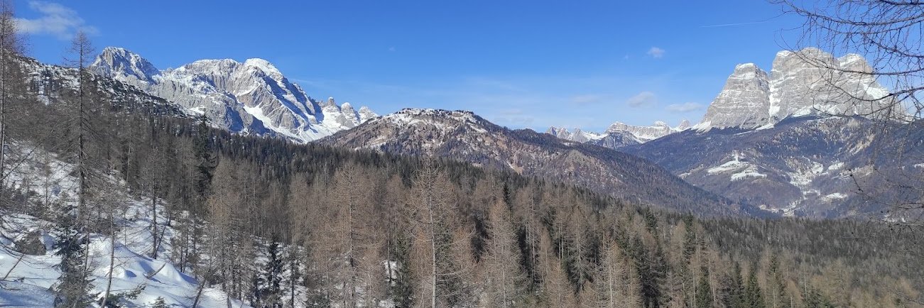 rastariccio's profile banner image