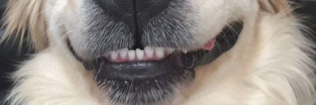 joesteele__'s profile banner image