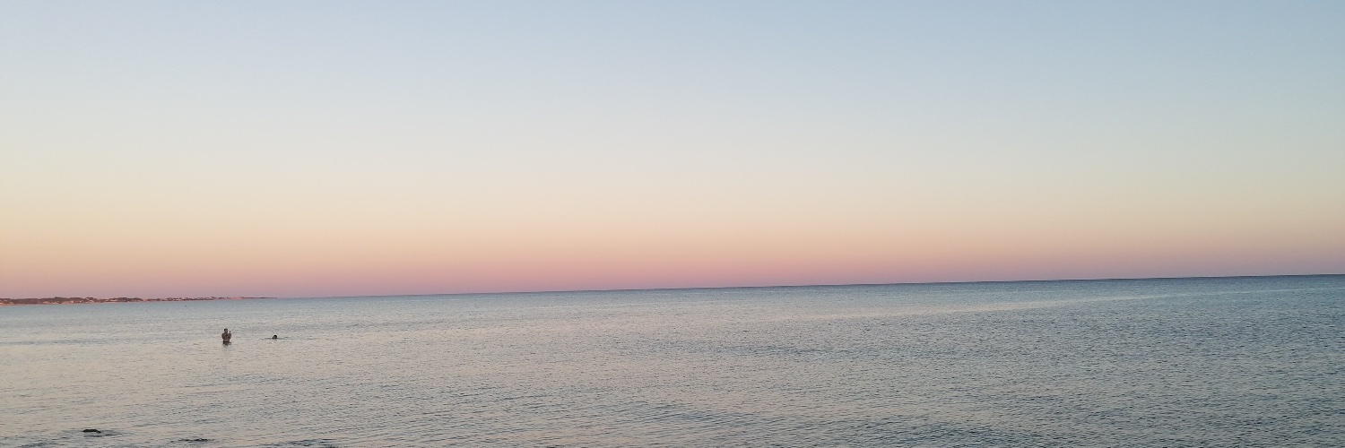 Cinzia Franchini banner