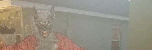 CKosarich's profile banner image