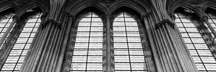 harper_loeb's profile banner image