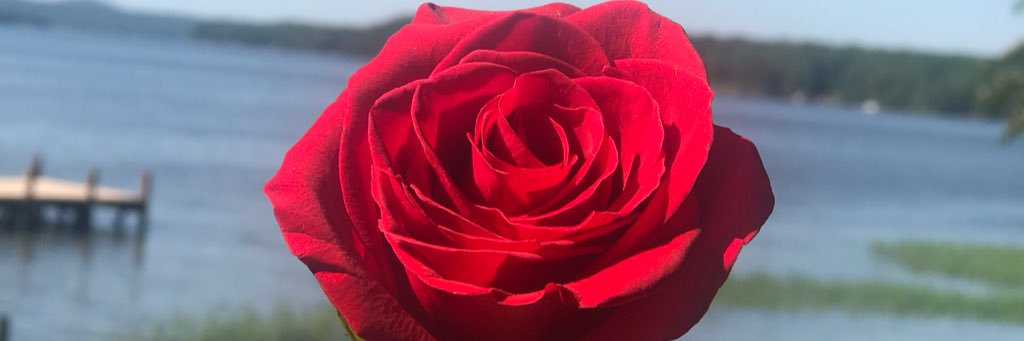 KaylaaRosee's profile banner image