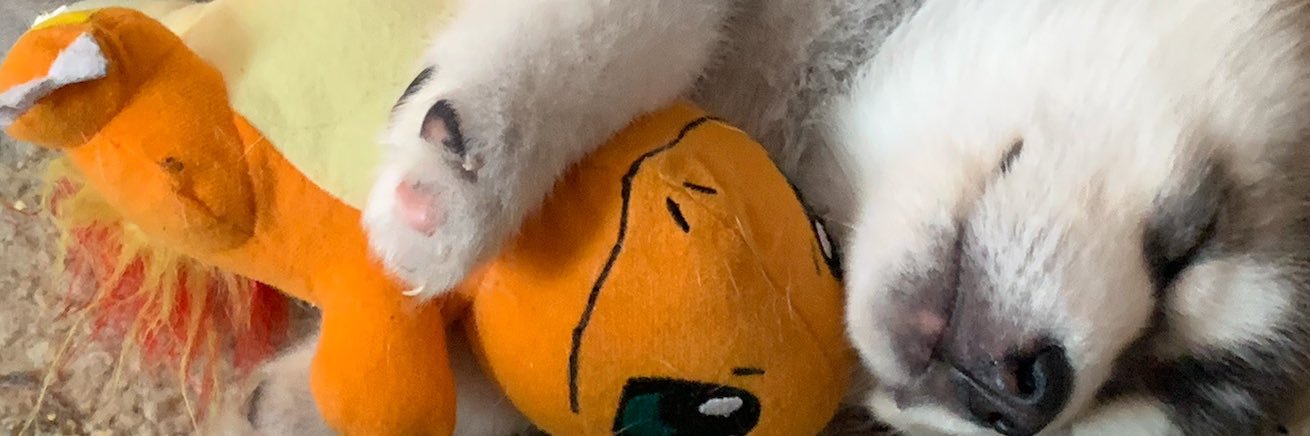 Egosdeath_'s profile banner image