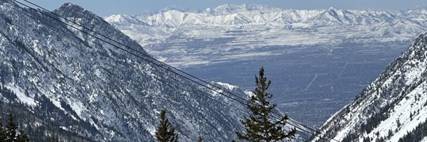 Dorrance_Lab Profile Banner