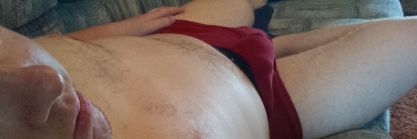 switch pup stich banner