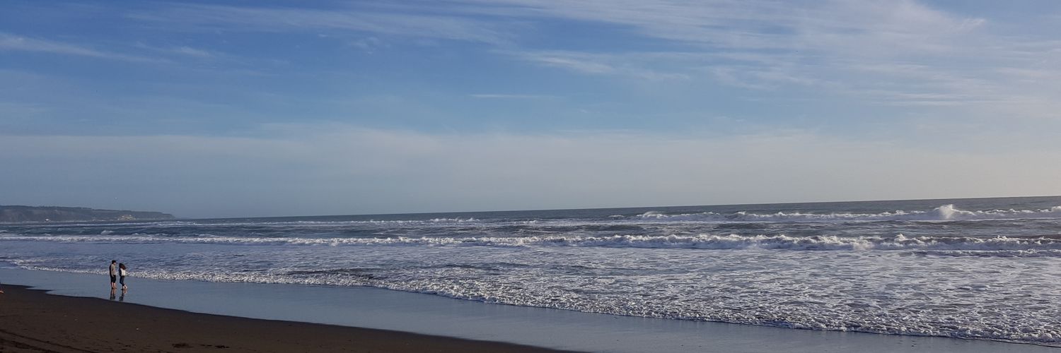priscipoblete's profile banner image
