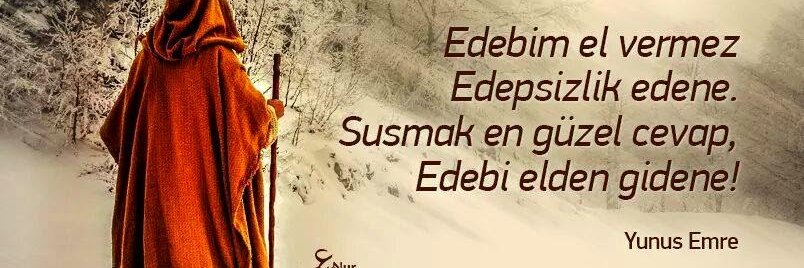 emre berke banner