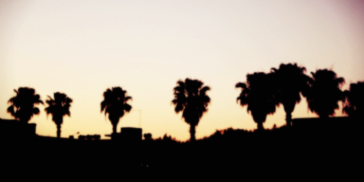 21_Fresh's profile banner image