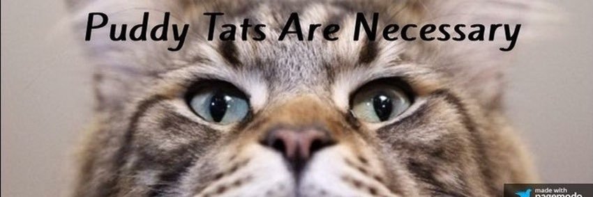 AKA Caren Harkins's banner