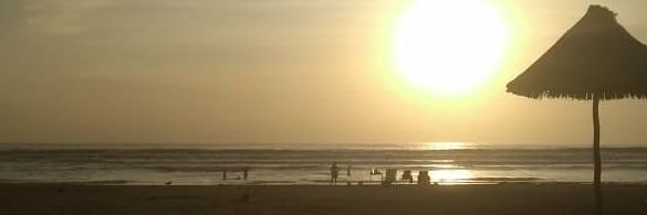 Vargas@Posi:$ banner